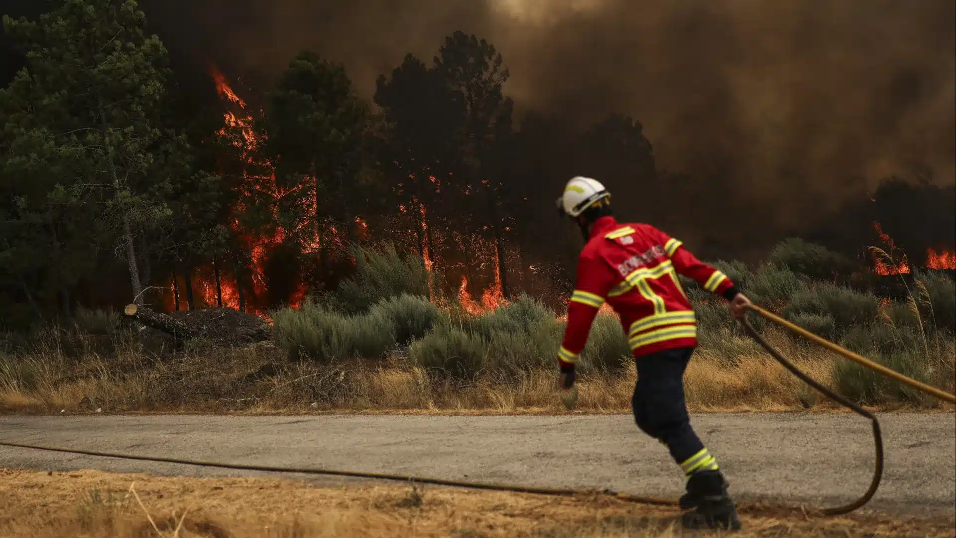 Plus de 40 communes en danger maximal d'incendie. Les températures maximales atteignent 35°C.
