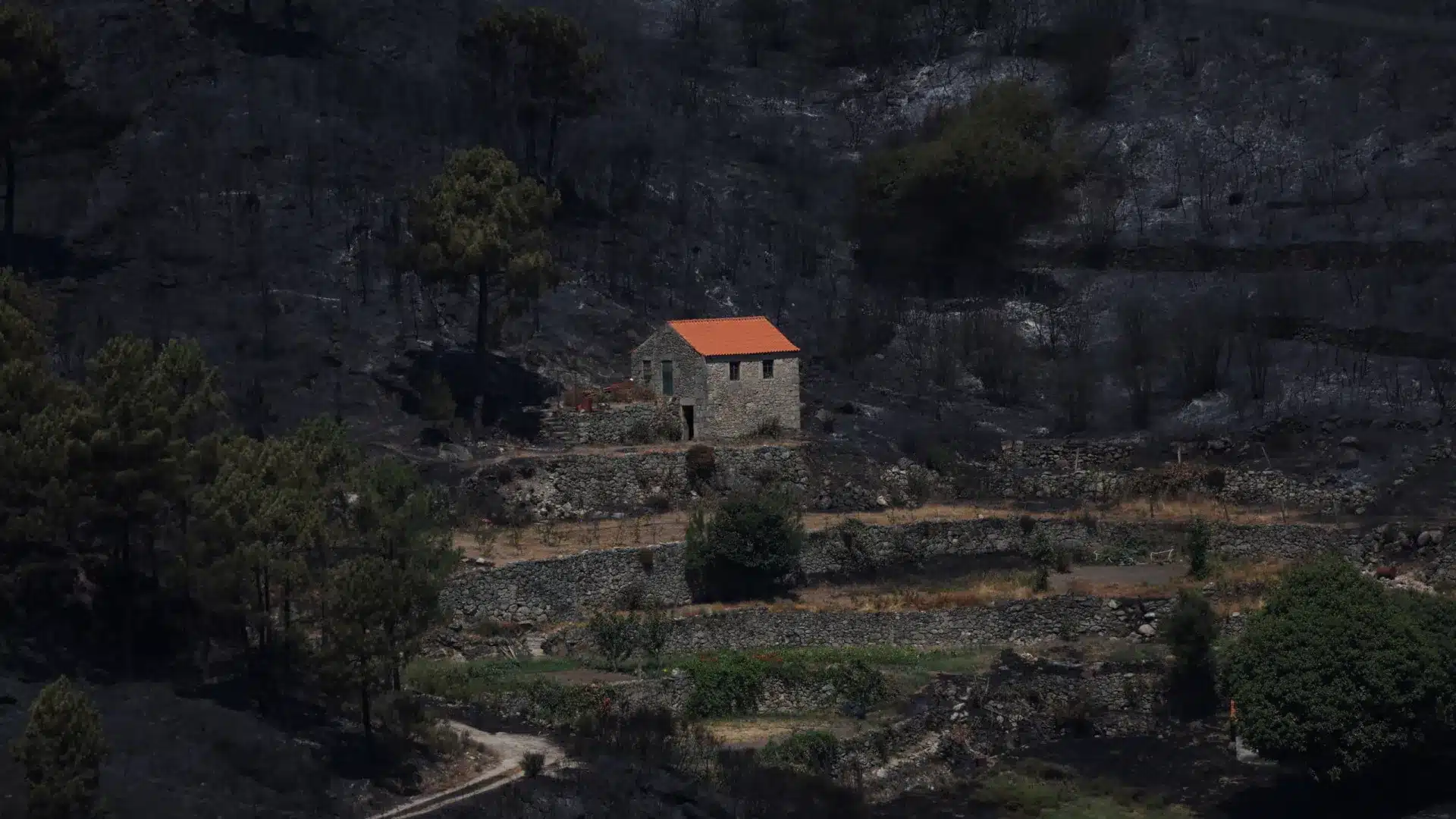 'Portugal Sem Chamas' encourage le tourisme dans les zones touchées.