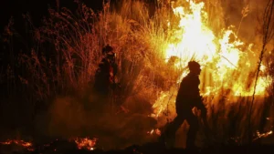 Près de 200 agents et 11 moyens aériens combattent le feu à Vila de Rei.
