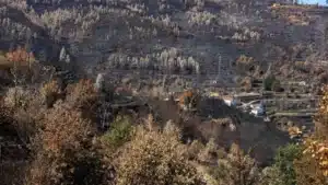 Près de 80 municipalités de neuf districts en danger maximum d'incendie rural.