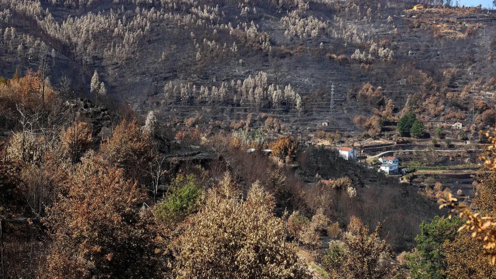 Près de 80 municipalités de neuf districts en danger maximum d'incendie rural.