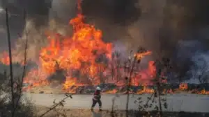Risque d'incendie très élevé à maximal pour le Nord, le centre et l'Algarve