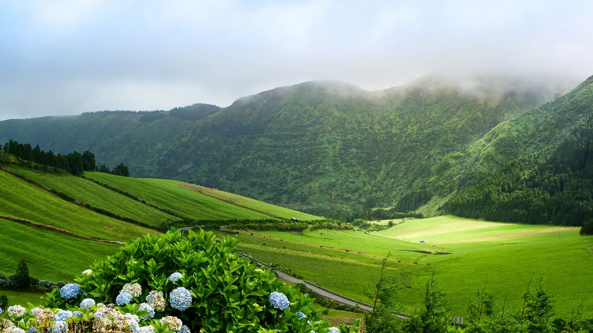 Séisme de 2,7 secoue l'île de Terceira aux Açores