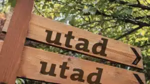 Tribunal ordonne de répéter le vote des membres cooptés du Conseil de l'UTAD.
