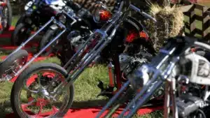 Un député du PSD part à moto pour Bruxelles avec une pétition contre la directive.