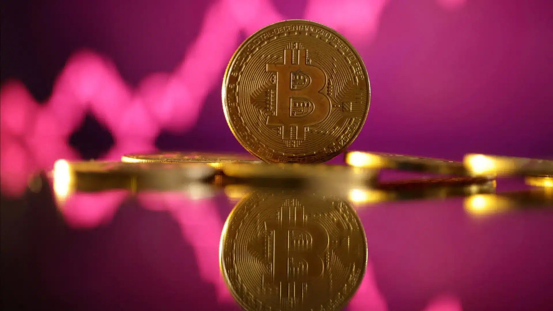 Un détenu au Portugal lors d'une opération contre la fraude aux cryptomonnaies