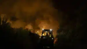 Un homme âgé arrêté à Vila Franca de Xira pour suspicion d'incendie de forêt.