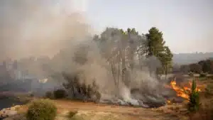 Un homme arrêté pour avoir tenté d'allumer six incendies cet été à Viseu.