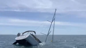 Un voilier surpris par des orques a coulé "en moins d'une heure".
