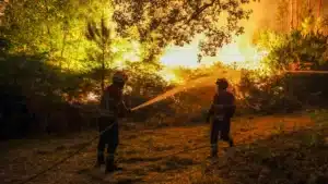 Zéro défend des plans d'action climatique pour prévenir et réduire les incendies.