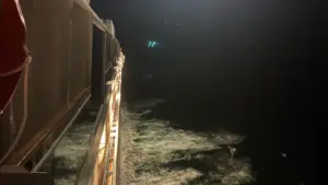 Allemande secourue par la Marine après s'être fracturé le fémur à bord d'une croisière.