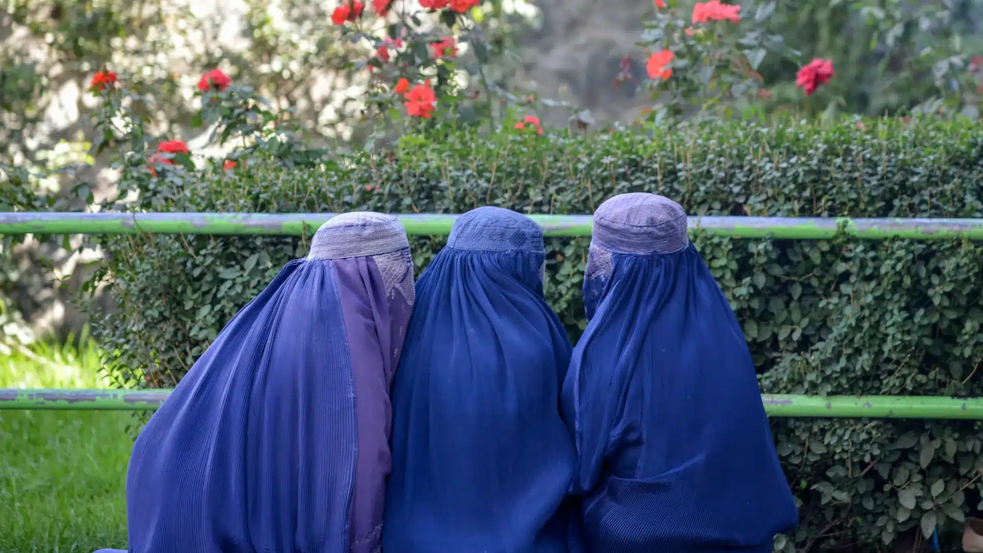 Amnesty critique le Portugal pour avoir interdit le port de voiles couvrant le visage.