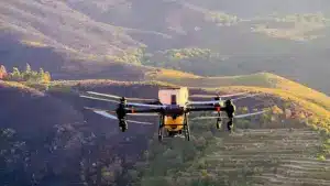 Après les incendies, des graines donnent de "l'espoir" au Gerês (et des drones ont aidé)