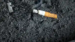 Cabo Verde : Recettes fiscales en hausse (TVA et Taxe sur le tabac en vedette)