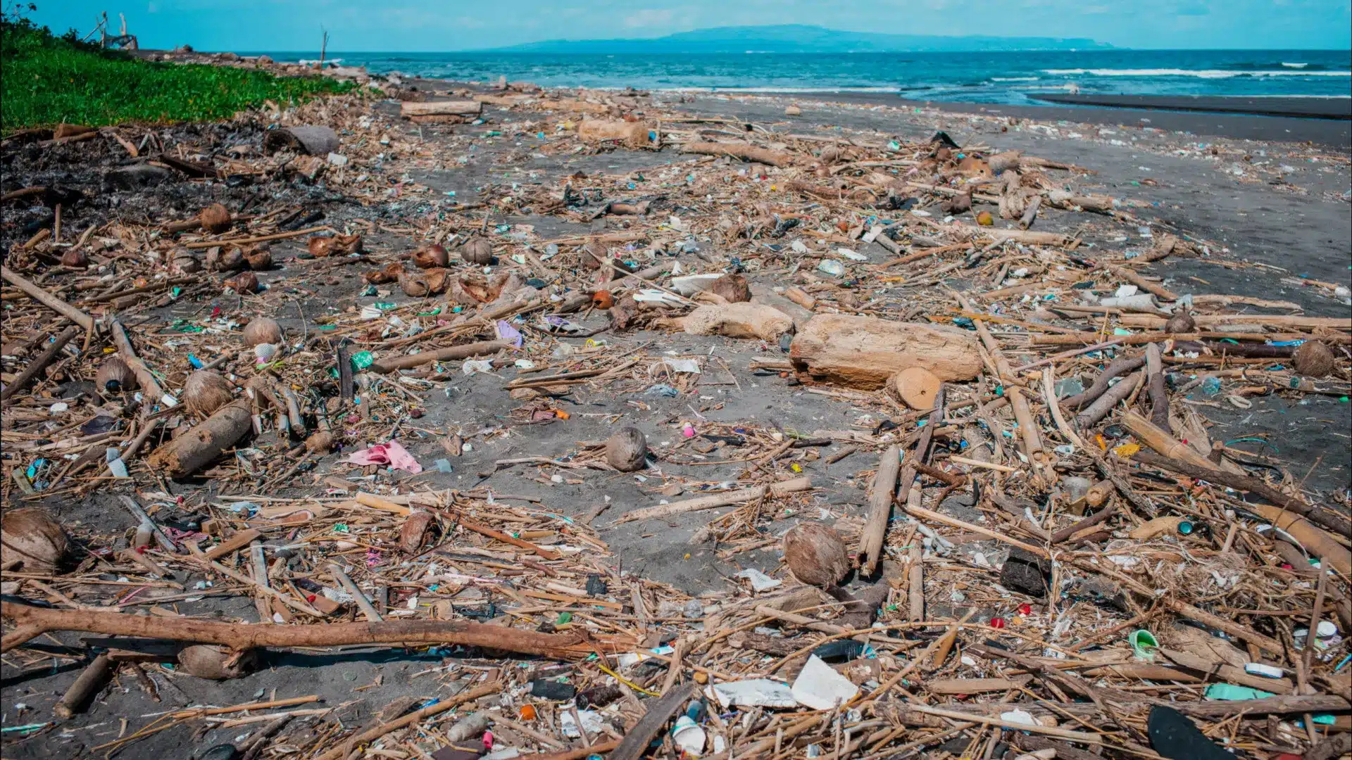 Connaître le littoral et ramasser les déchets marins, le projet "Coastwatch" commence aujourd'hui.