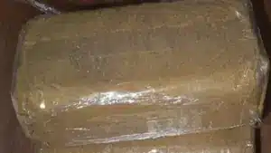 Deux femmes arrêtées aux Açores avec 32 kilos de haschisch et un de cocaïne