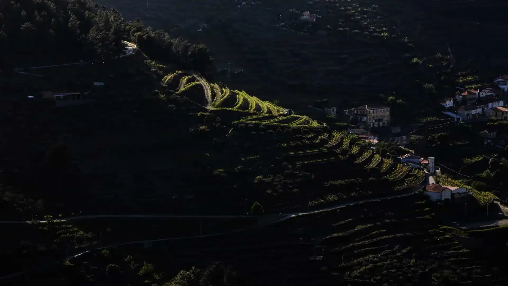 Face à un contexte d'incertitude, les viticulteurs du Douro demandent de la "dignité".