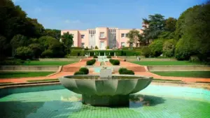 Fondation de Serralves montre l'œuvre de João Paulo Feliciano à Leiria