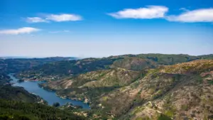 Gerês, Estuário du Tage et Serra do Caldeirão vont avoir des actions de la WWF