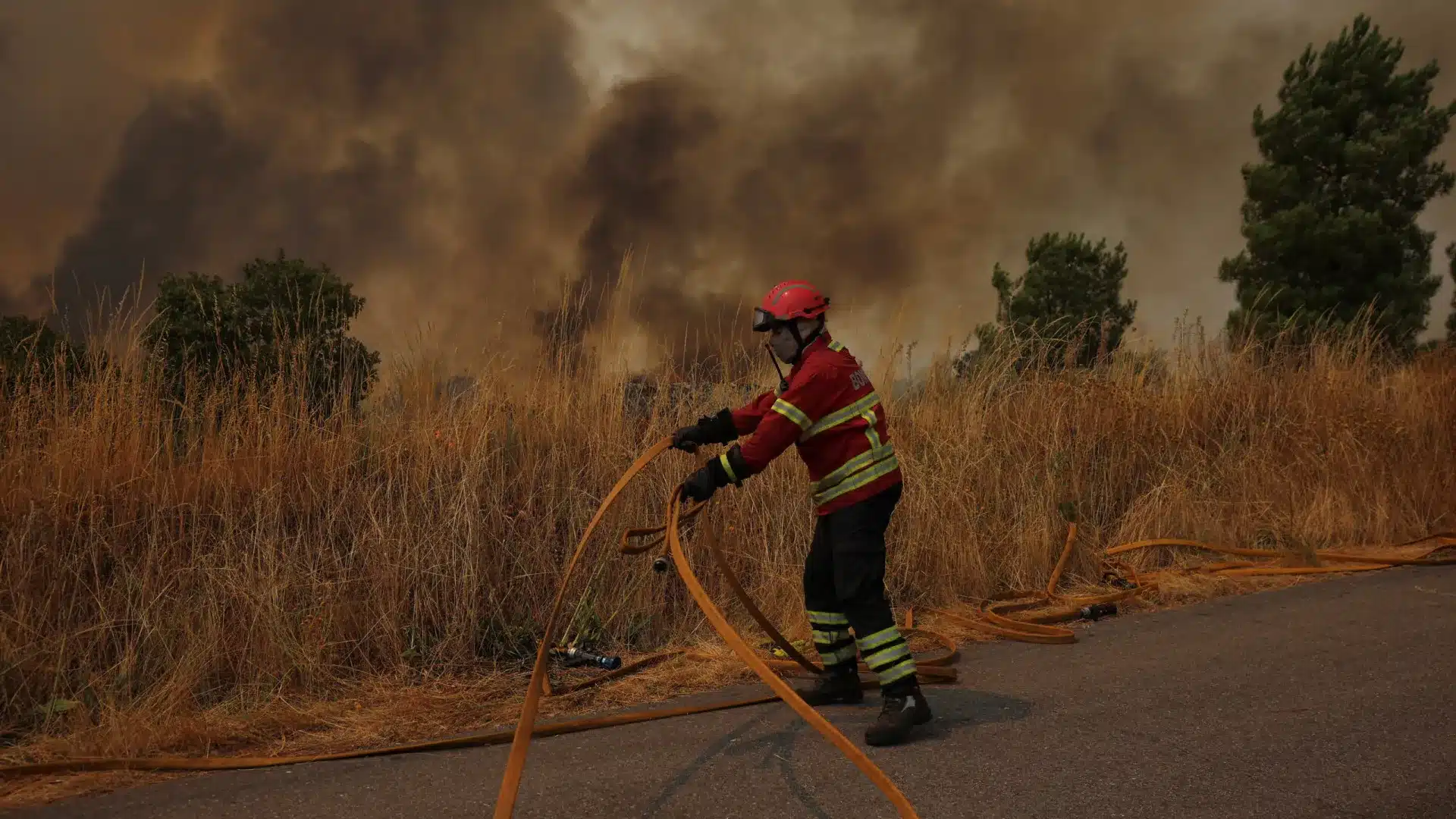 Incendie à Póvoa de Lanhoso a eu un "renfort de moyens humains".