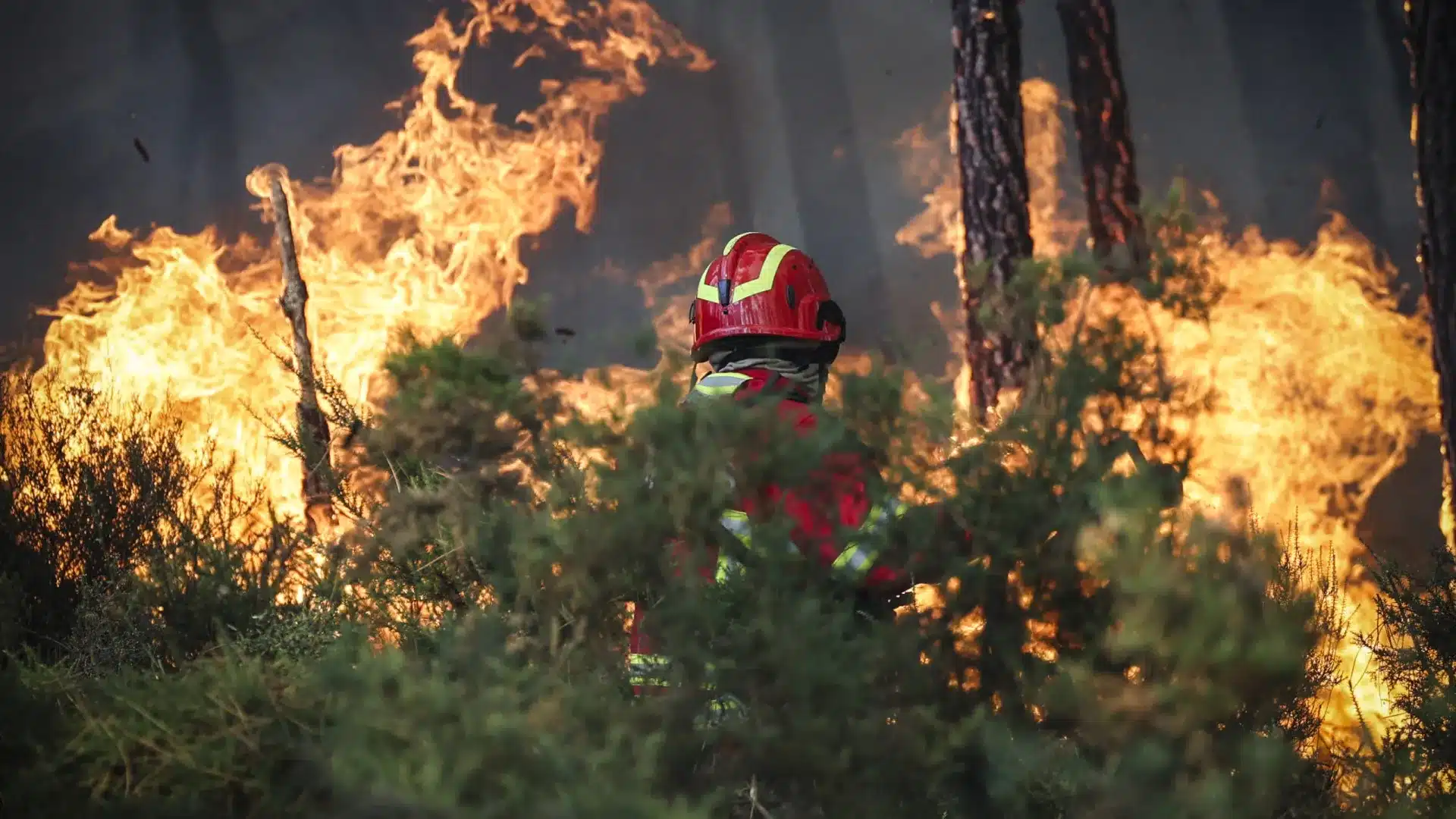 Incendie maîtrisé depuis 21h00 à Montalegre.