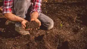 La CNA déplore que recevoir un prix compensateur soit "une tâche presque impossible".