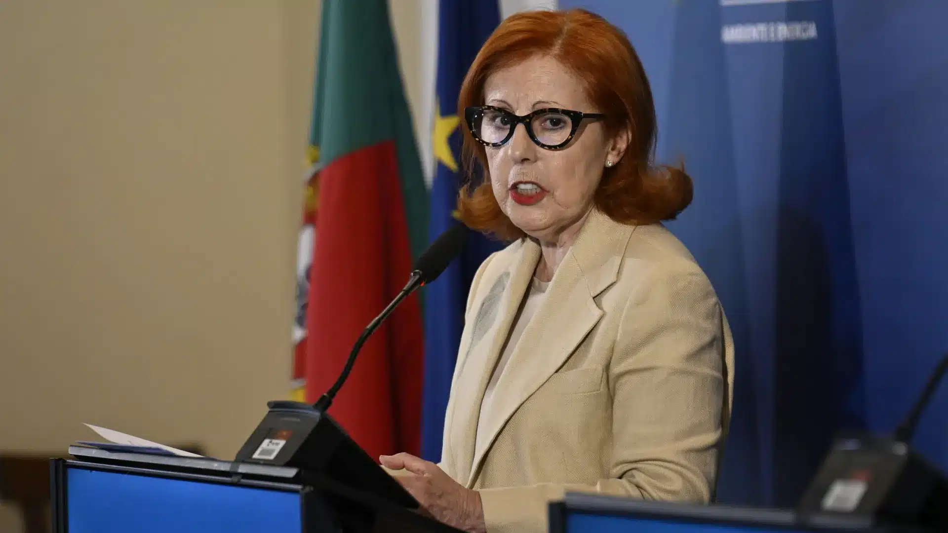 La ministre croit que la 2e phase de l'E-Lar aura lieu encore "cette année".