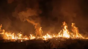 La PJ enquête sur la mort d'une personne âgée dans un incendie à Aveiro. "Elle aurait pu se désorienter"