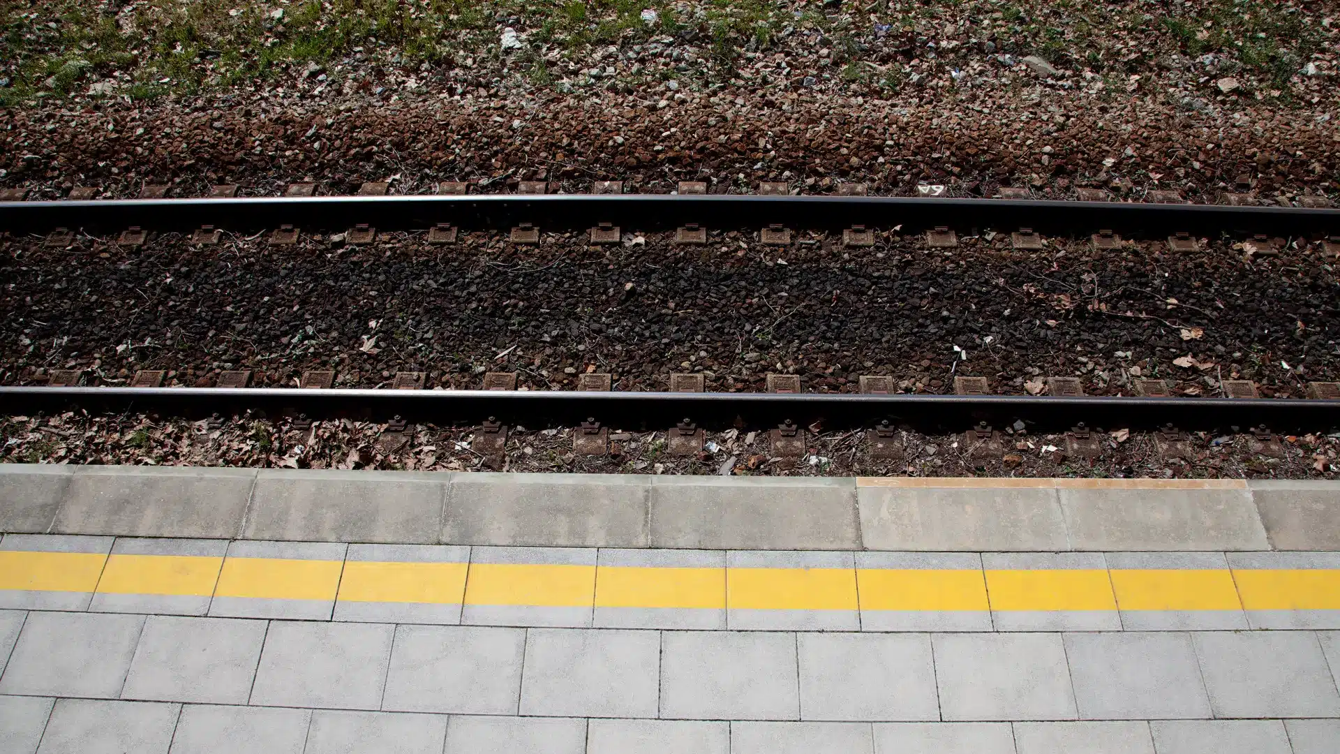 La victime de la collision sur la ligne de l'Ouest est morte sur le lieu de l'accident.