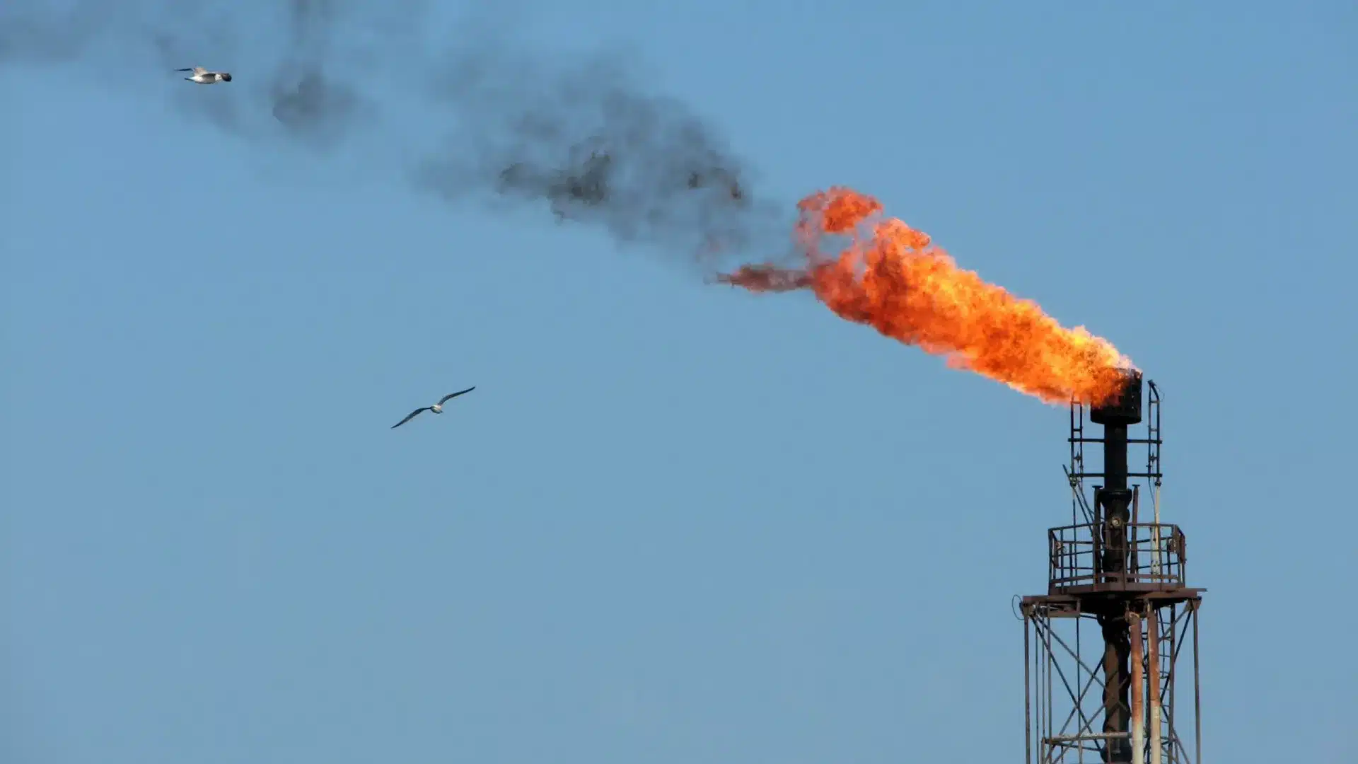 L'Angola a récolté 5,3 milliards grâce à l'exportation de pétrole.