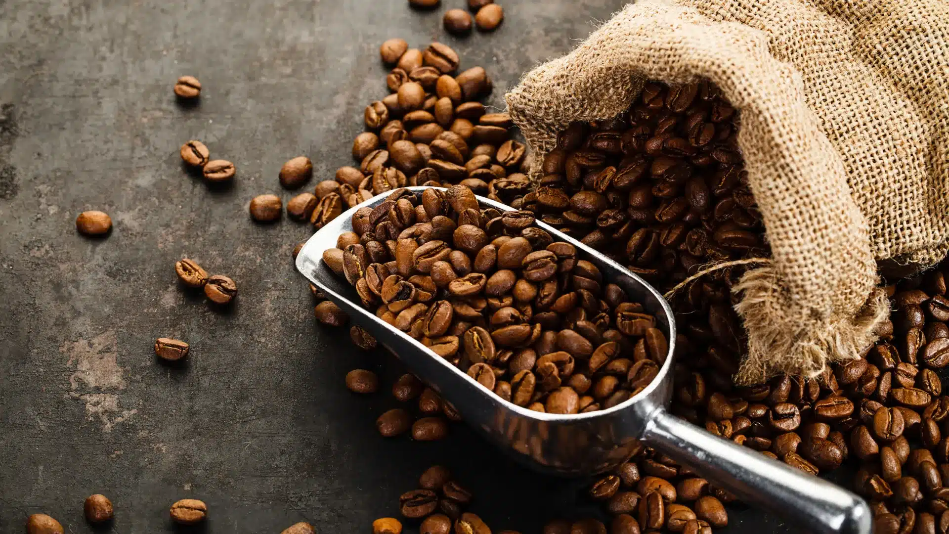 Le café emploie plus de 1 500 familles mozambicaines à Gorongosa.