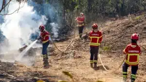 Le feu en Algarve est maîtrisé (avec encore des reprises).