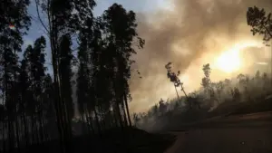 Le gouvernement a déjà soutenu les agriculteurs touchés par les incendies à hauteur de 3,7 millions.