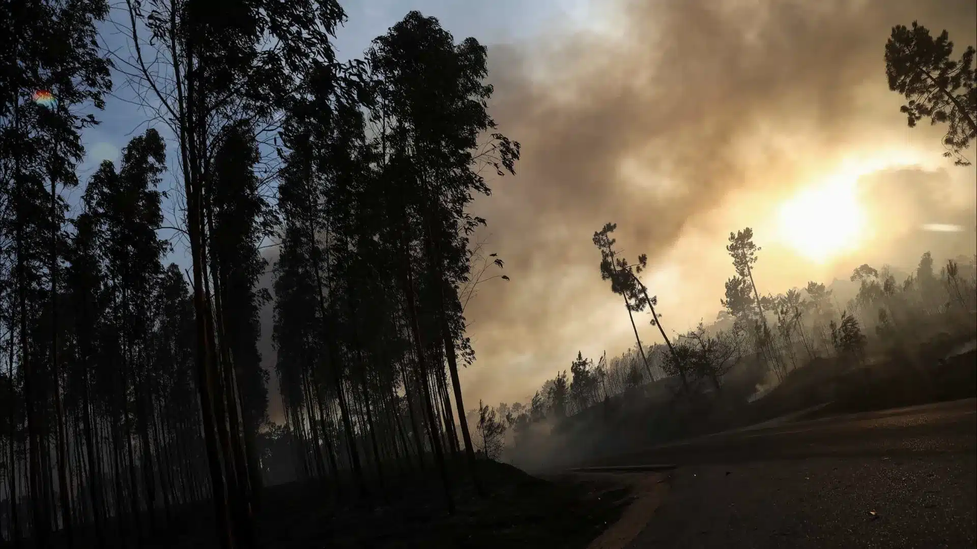 Le gouvernement a déjà soutenu les agriculteurs touchés par les incendies à hauteur de 3,7 millions.