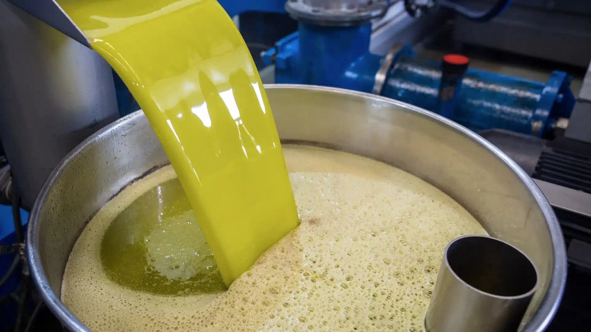 Le gouvernement propose une TVA de 6 % pour la production d'huile d'olive.