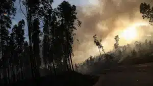 Le nombre de personnes arrêtées par la GNR pour incendie a augmenté de 61 % cette année, avec un total de 58.