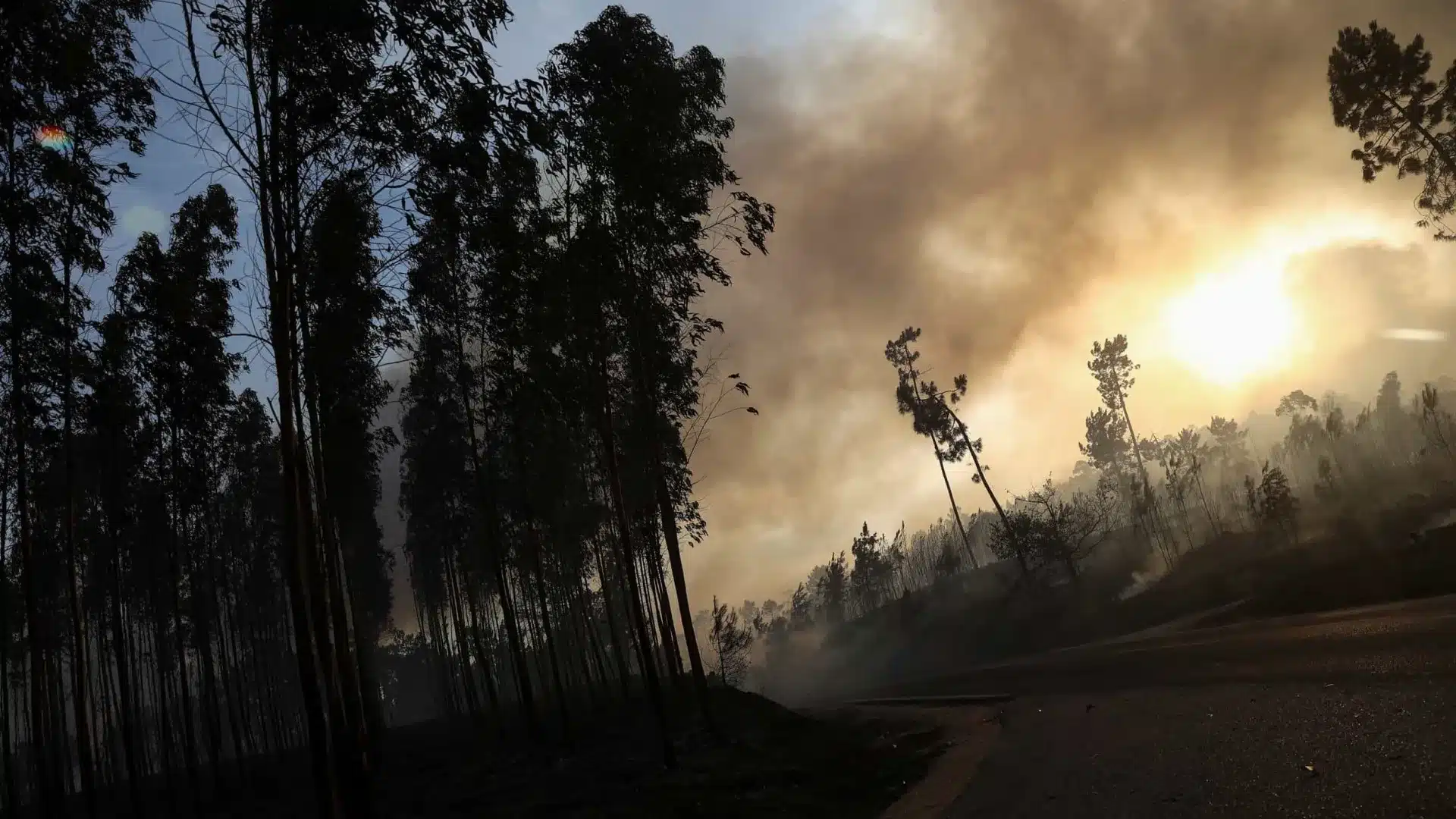 Le nombre de personnes arrêtées par la GNR pour incendie a augmenté de 61 % cette année, avec un total de 58.