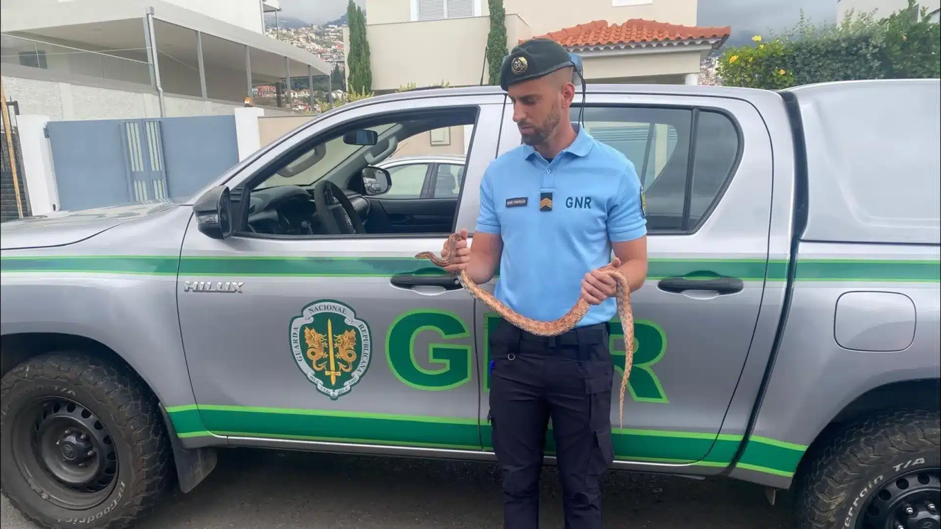 Le Service de Protection de la Nature de la GNR saisit un serpent illégal à Madère.