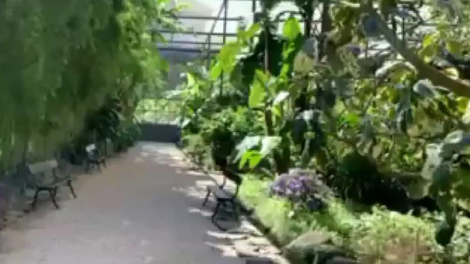 L'heure a changé ! Parcs et jardins avec de 'nouveaux horaires' à Lisbonne : Restez informé