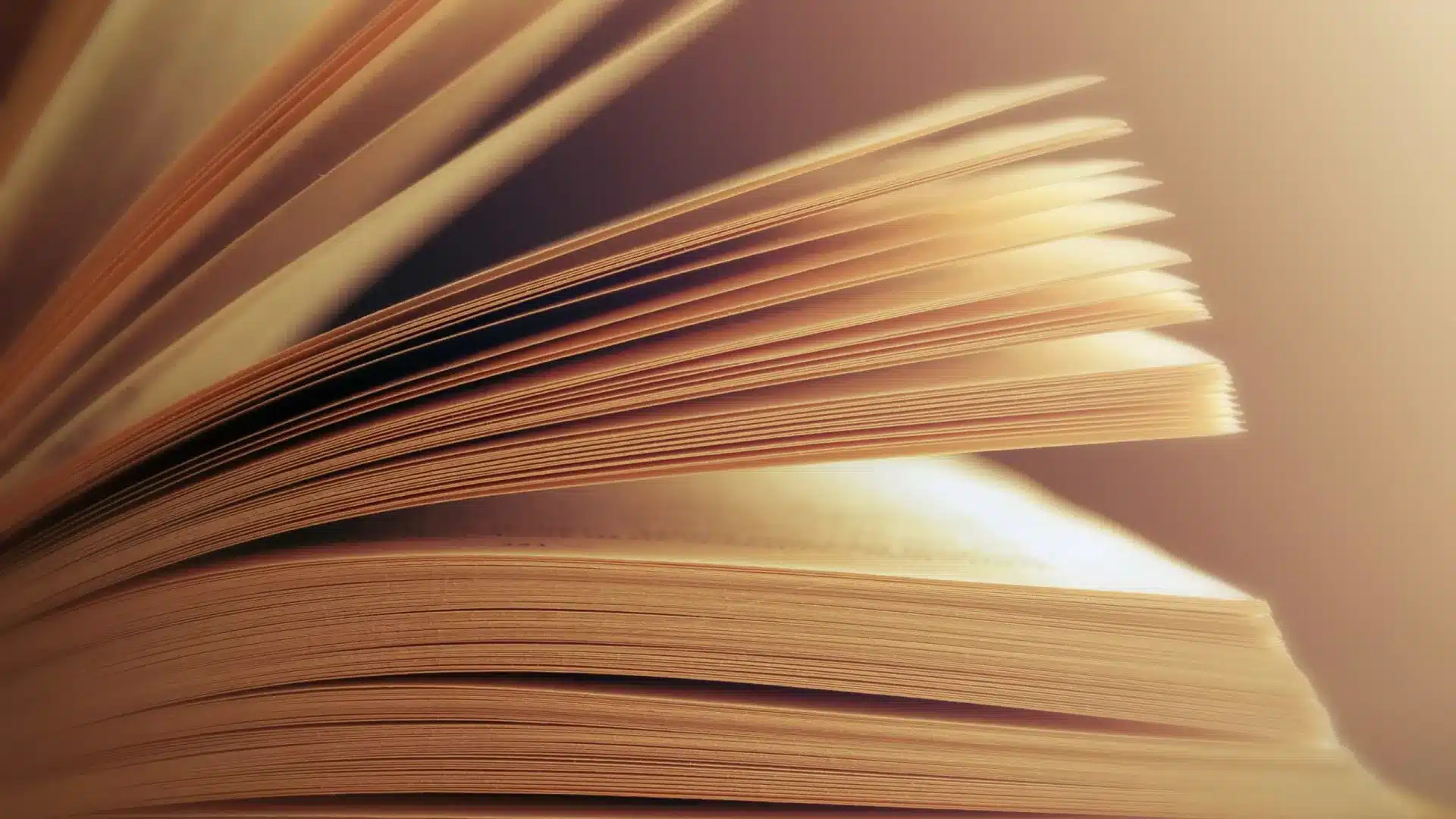 Livre portugais pour enfants aveugles dans la sélection White Ravens