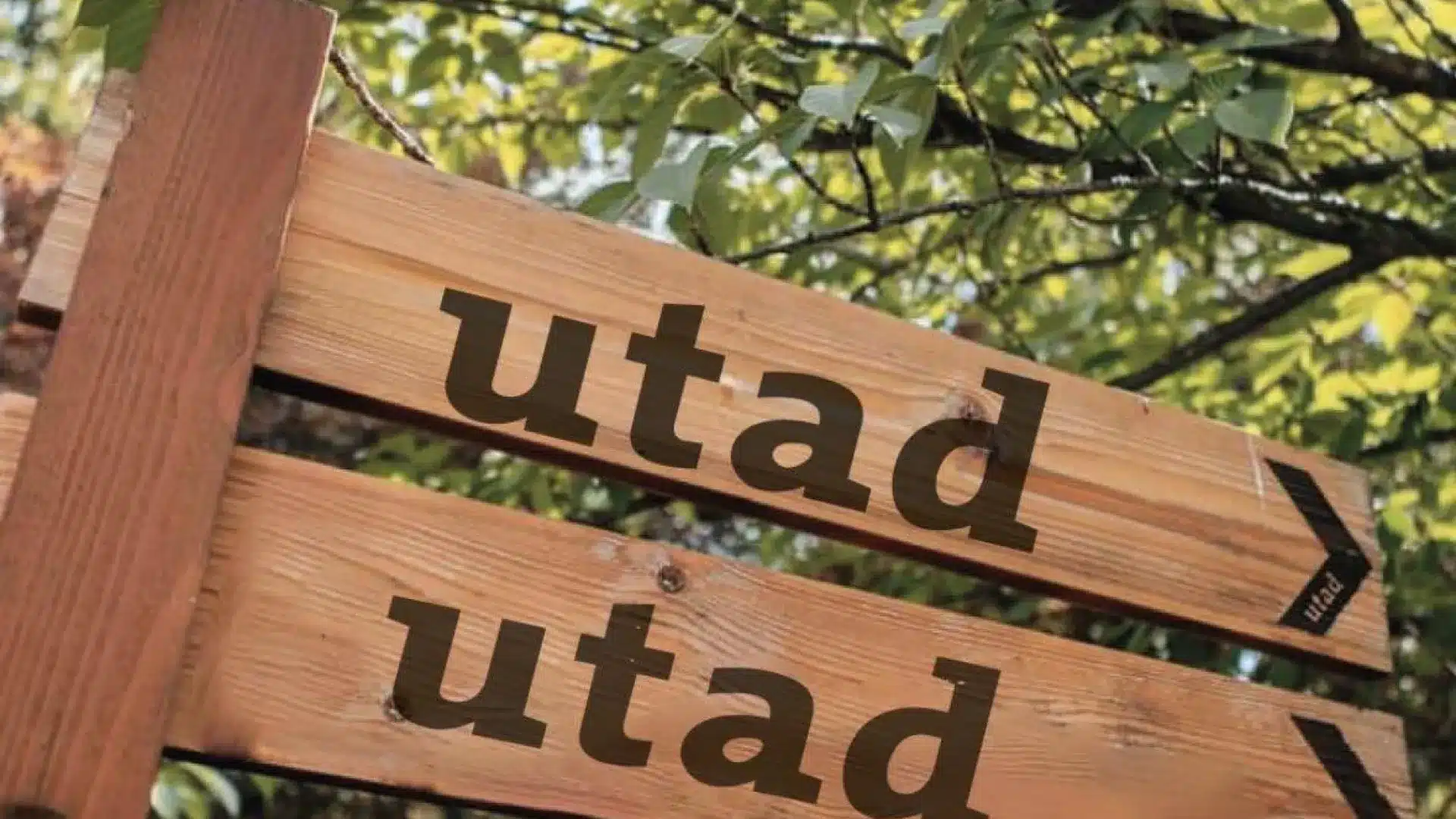 Ministère de l'Éducation analyse la crise institutionnelle à l'UTAD