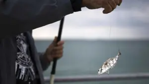 Pêcheur assisté près du Fort de São Jorge aux Açores