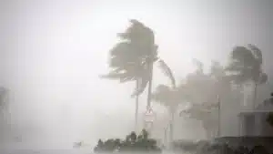 Protection Civile de Madalena définit des mesures face au cyclone Gabrielle