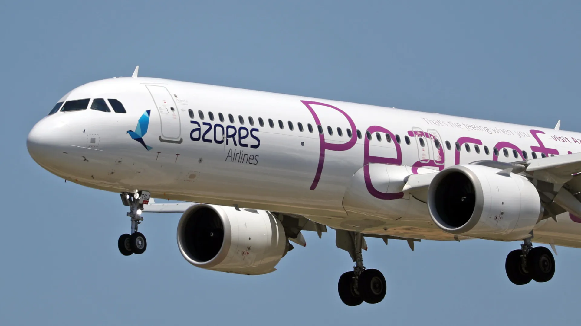 Réunion pour la privatisation d'Azores Airlines prévue pour lundi.