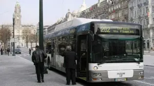 STCP verbalise plus de 630 conducteurs par mois pour obstruction des autobus.