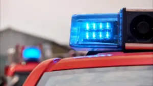 Un couple (en train de ranger) trouve une grenade et la laisse chez les pompiers d'Estoril.