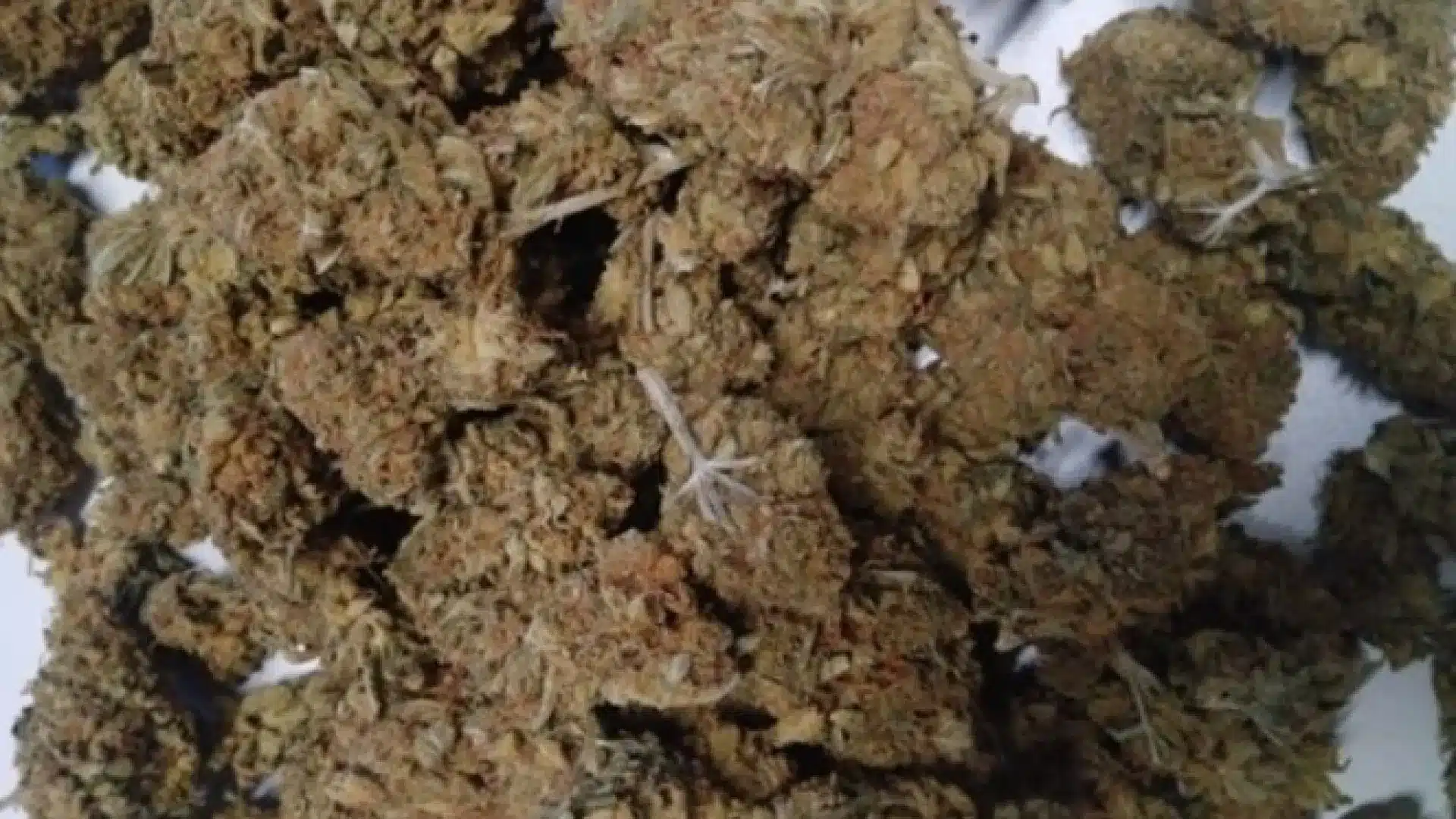 Un couple vendait de la drogue sur Instagram et Telegram à un "grand nombre de clients".