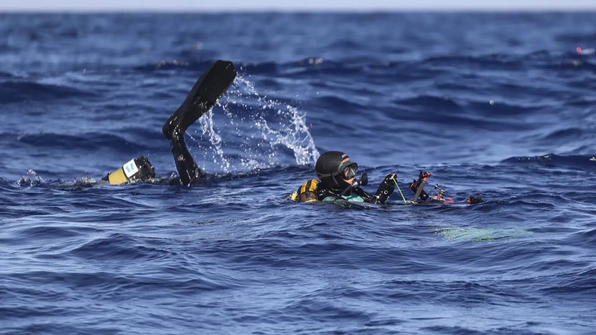 Une expédition scientifique a identifié 20 nouvelles espèces pour le Récif de l'Algarve.