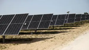 Une multinationale britannique veut investir dans une centrale solaire à Castelo Branco.