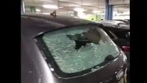 Vidéo. Jeune arrêté après une 'crise' à l'aéroport de Lisbonne (a détruit des voitures)